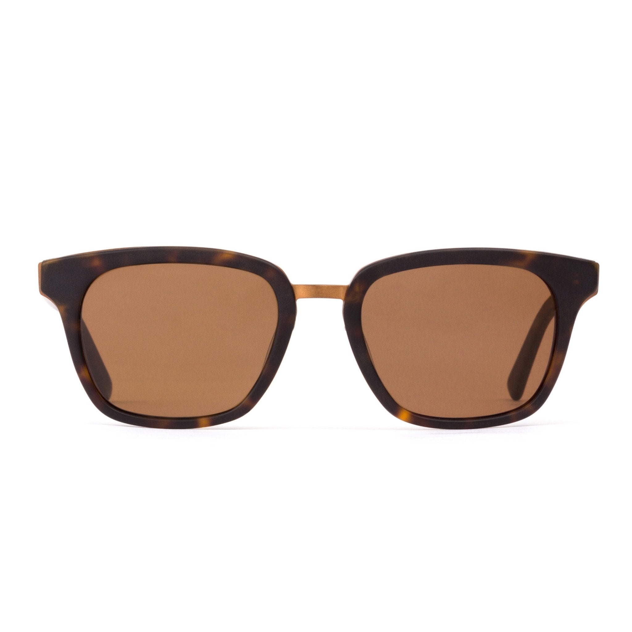 Otis Fiction - Matte Dark Tort / Brown Polarised