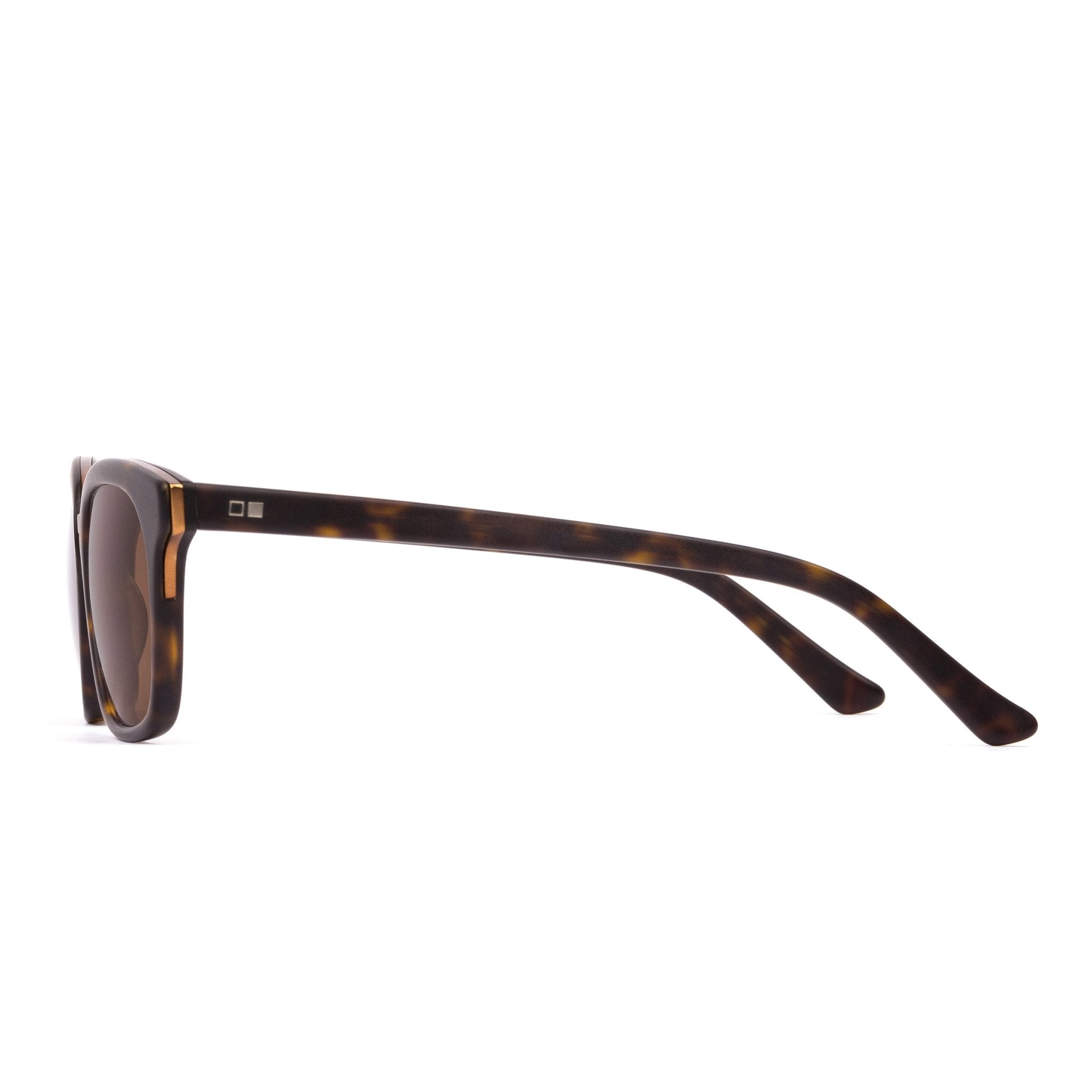 Otis Fiction - Matte Dark Tort / Brown Polarised