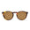Otis Omar - Eco Havana Sun / Brown Polarised