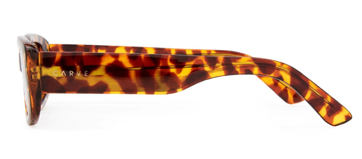 Carve Lizbeth Gloss Tort Grey-Sunglass Lenses-9329295601411-36000-Carve-Sunnieside