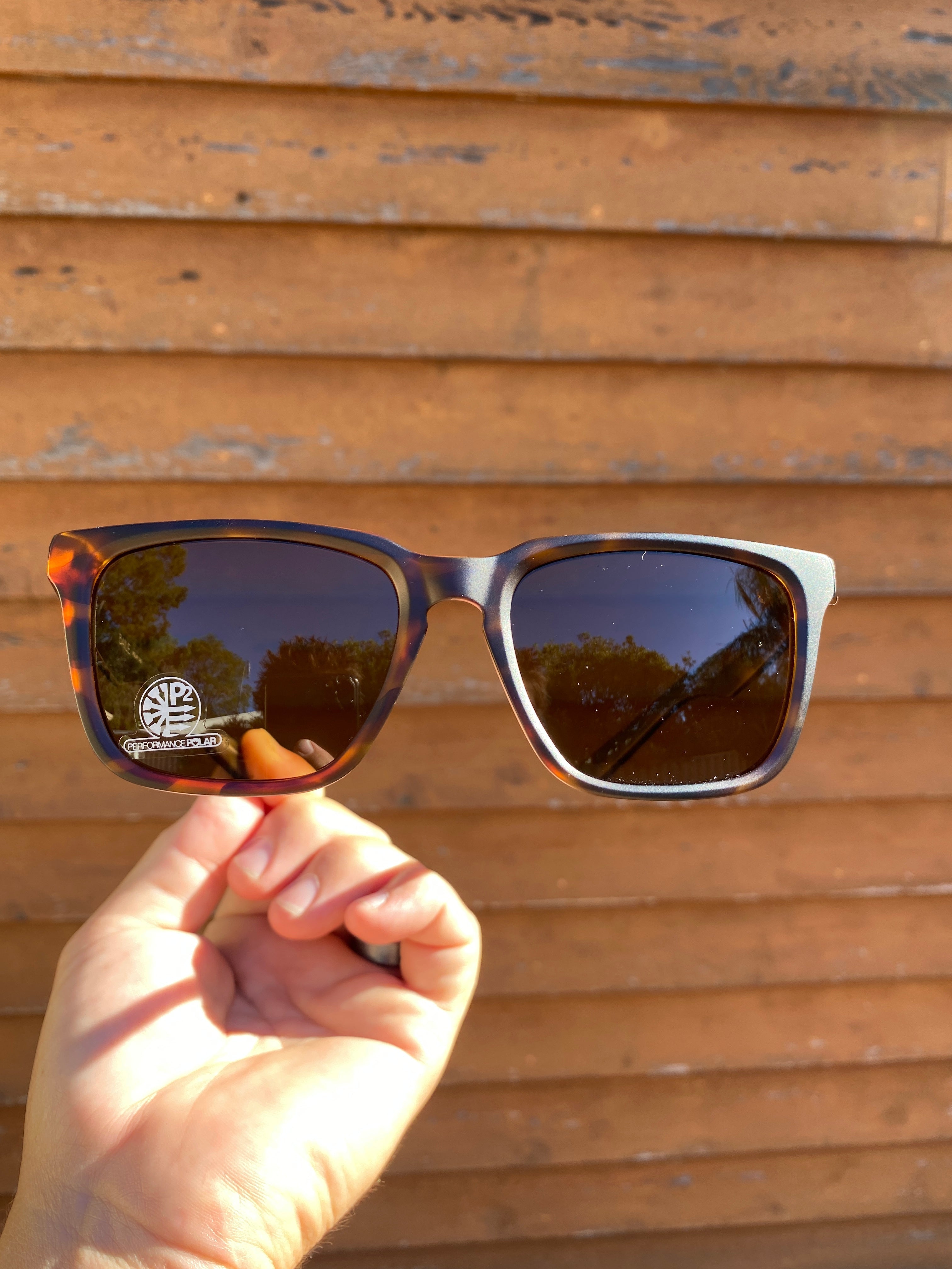 Dragon Baile Matte Dark Tortoise/Ll Brown P2 Mick Fanning Signature-polarised-886895381611-35069.245-Dragon-Sunnieside