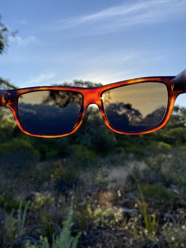 Dragon Haunt Matte Tort Brown-UV400 non-polarised-886895284578-32742-245-Dragon-Sunnieside