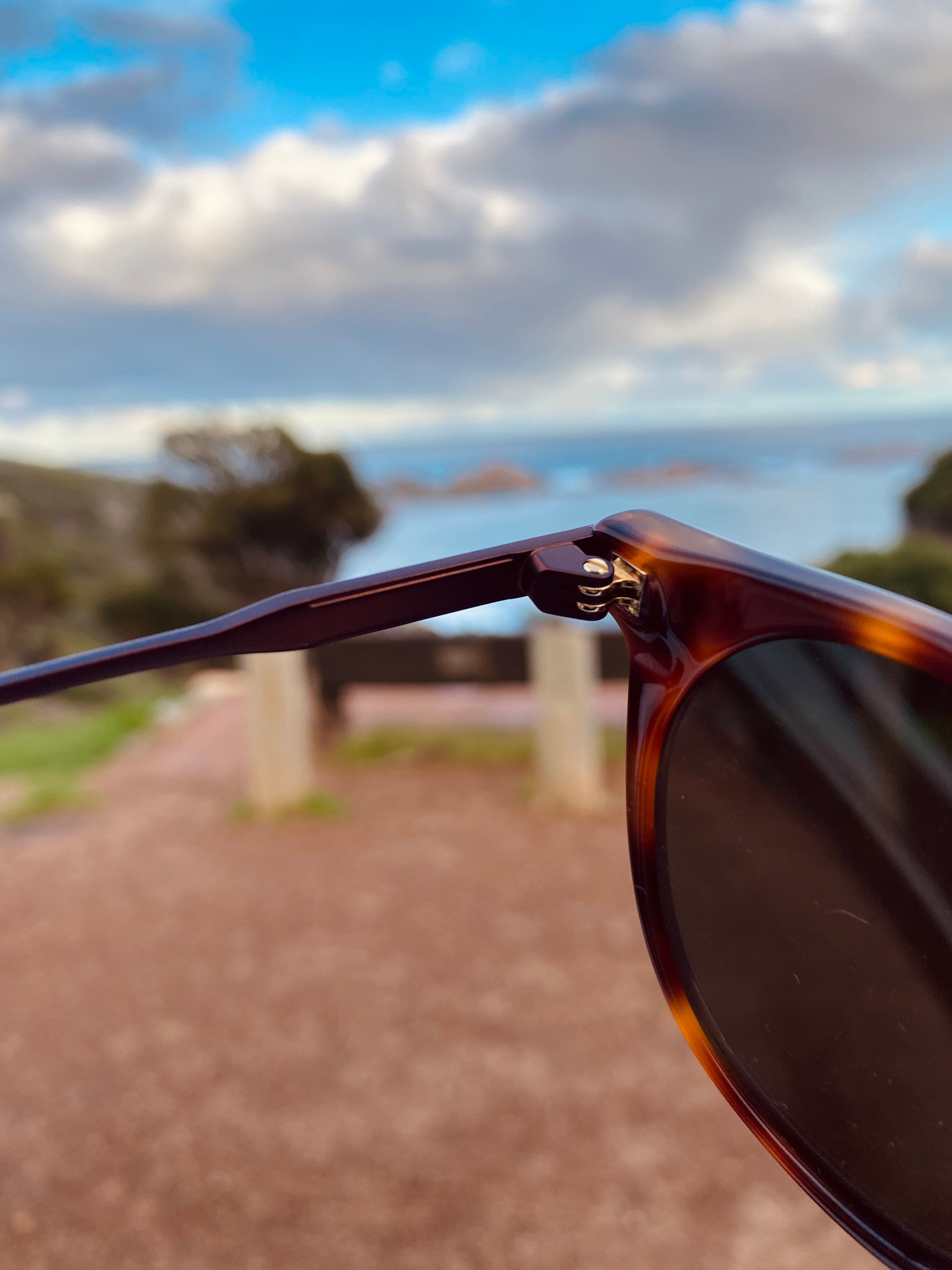 Dragon Hype Tortoise/Golden-UV400 non-polarised-886895313940-34235-240-Dragon-Sunnieside