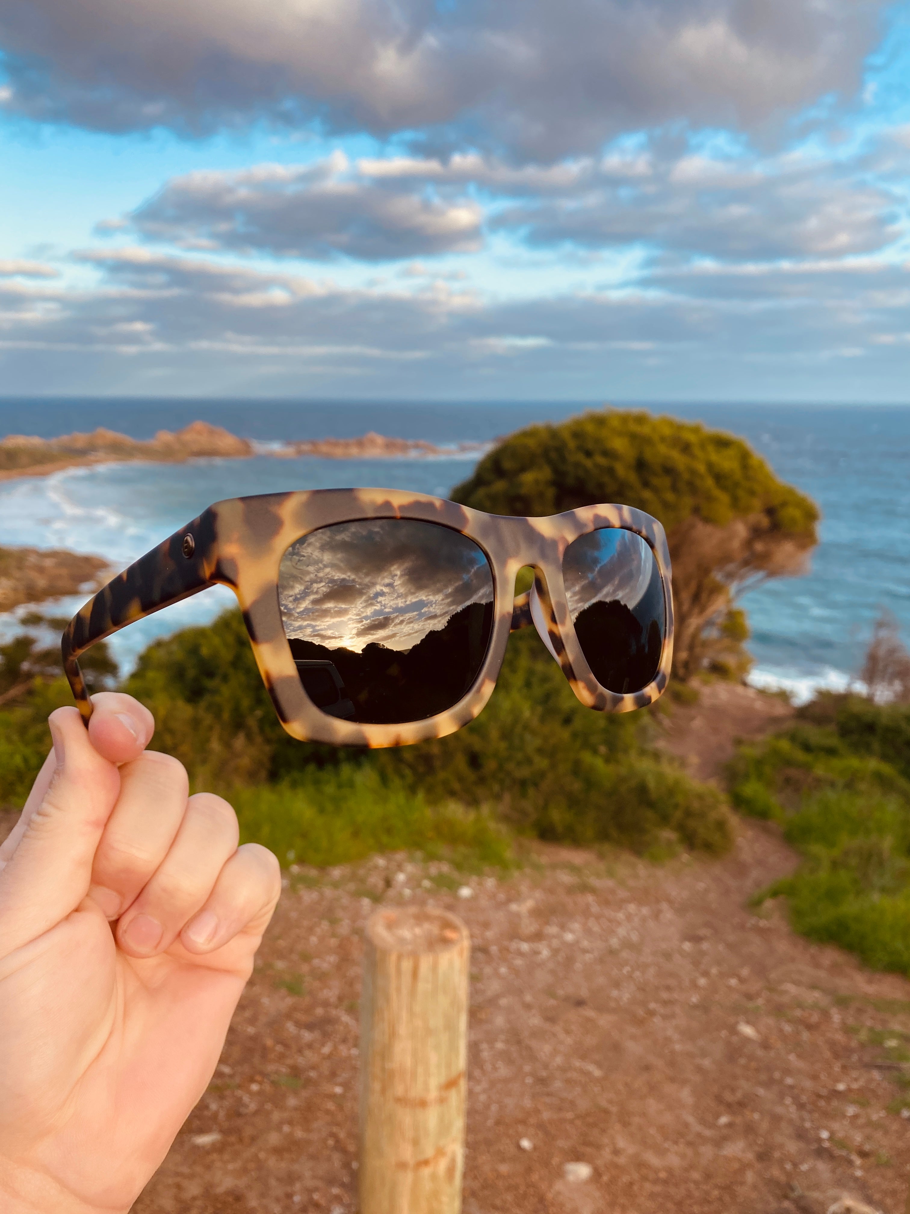 Electric Crasher Matte Tort/Grey Polarised-polarised-884932366911-EE14063542-Electric-Sunnieside