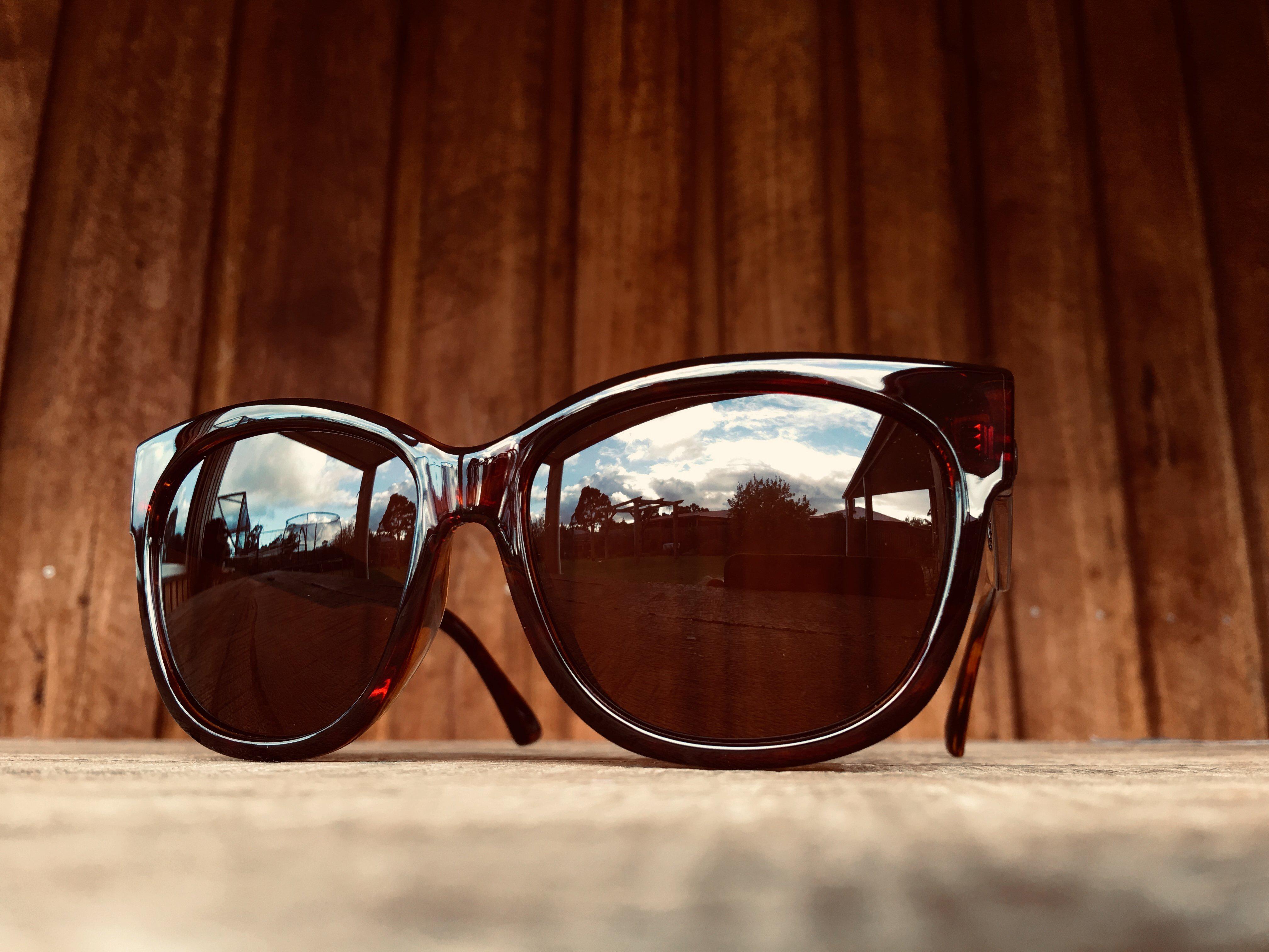 Electric Danger Cat Gloss Tort/Brown-UV400 non-polarised-EE14310639-Electric-Sunnieside