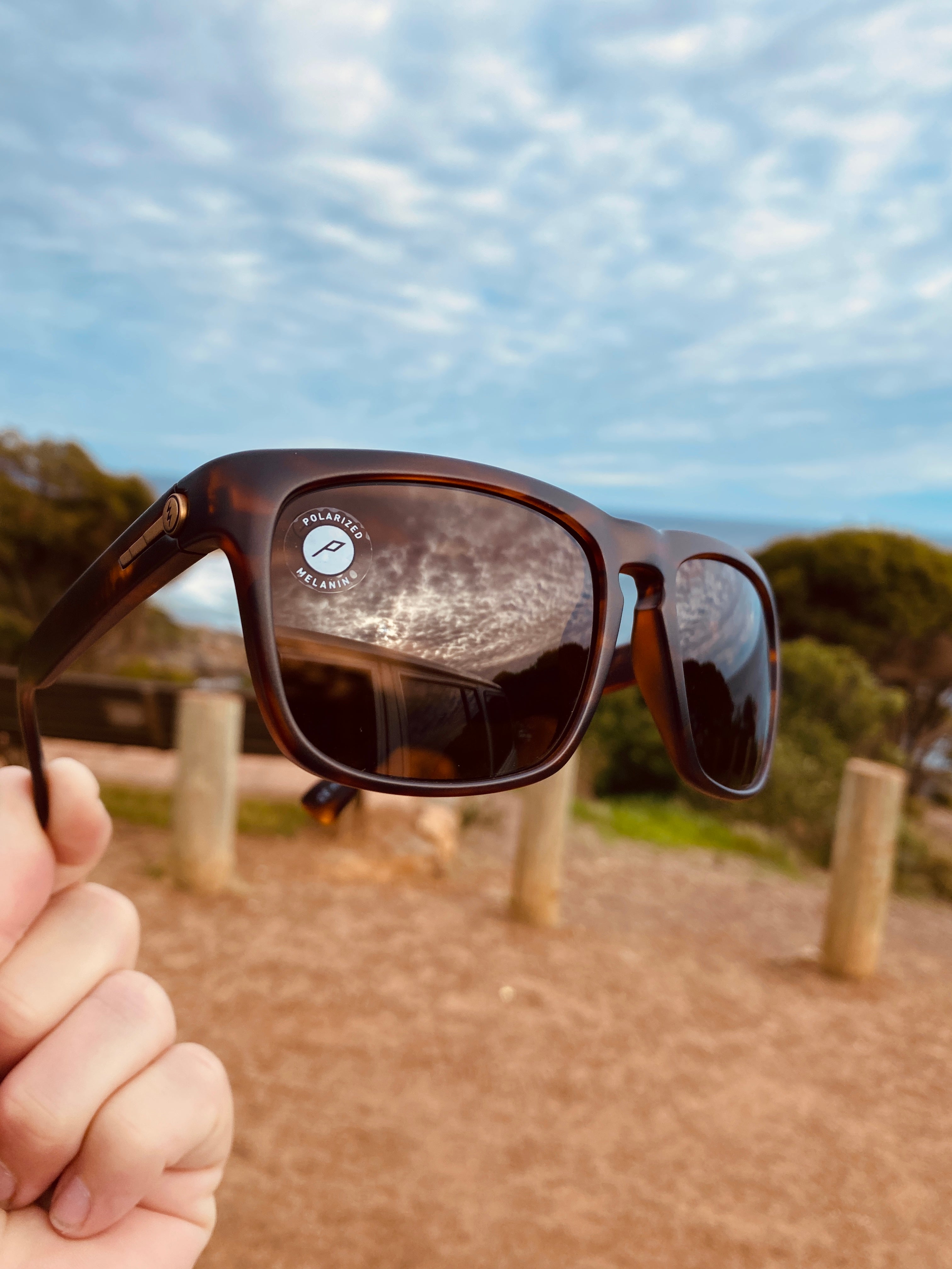 Electric Knoxville Matte Tort/Ohm Bronze Polarised-polarised-884932302629-EE09013943-Electric-Sunnieside