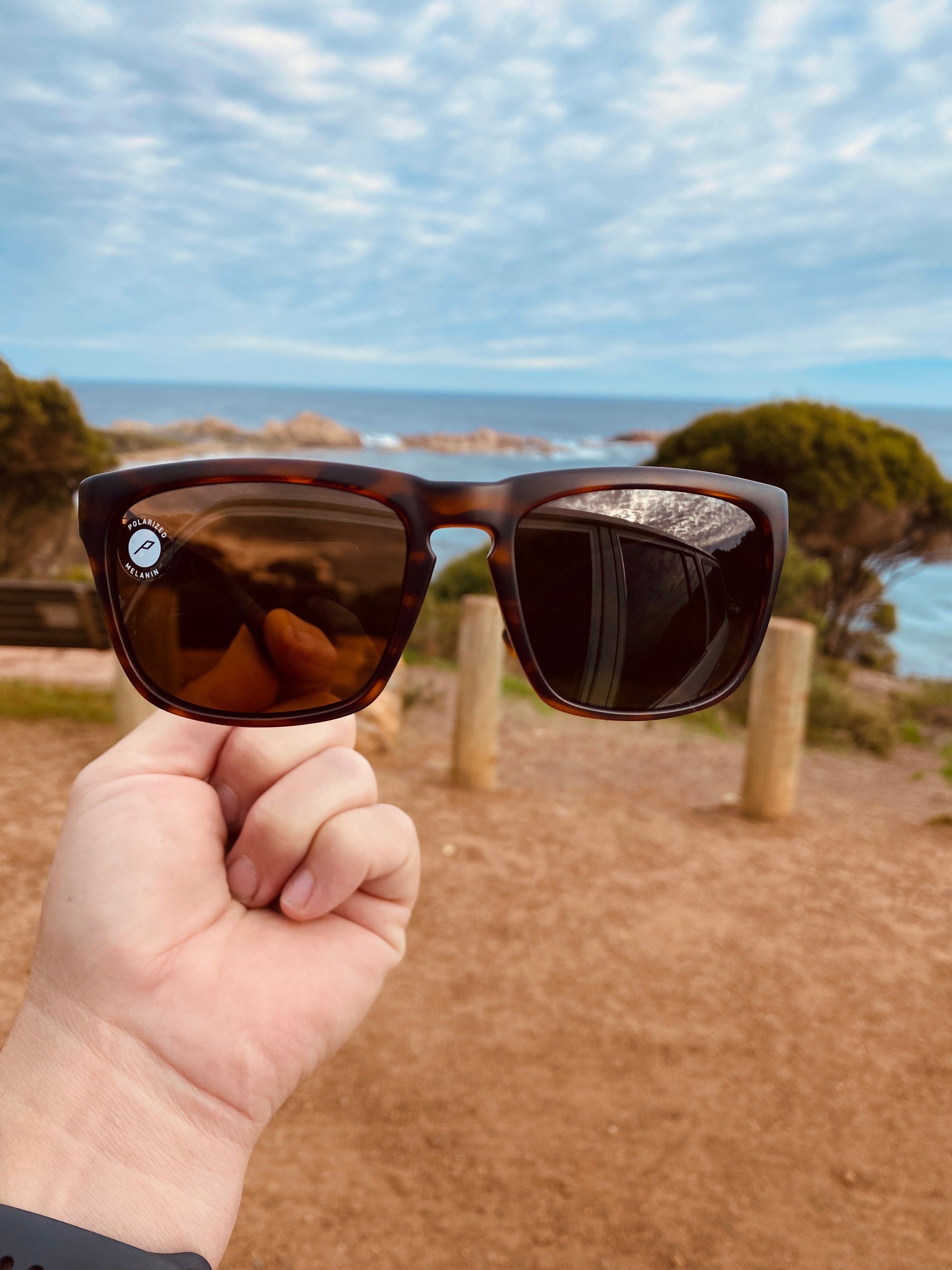 Electric Knoxville Matte Tort/Ohm Bronze Polarised-polarised-884932302629-EE09013943-Electric-Sunnieside