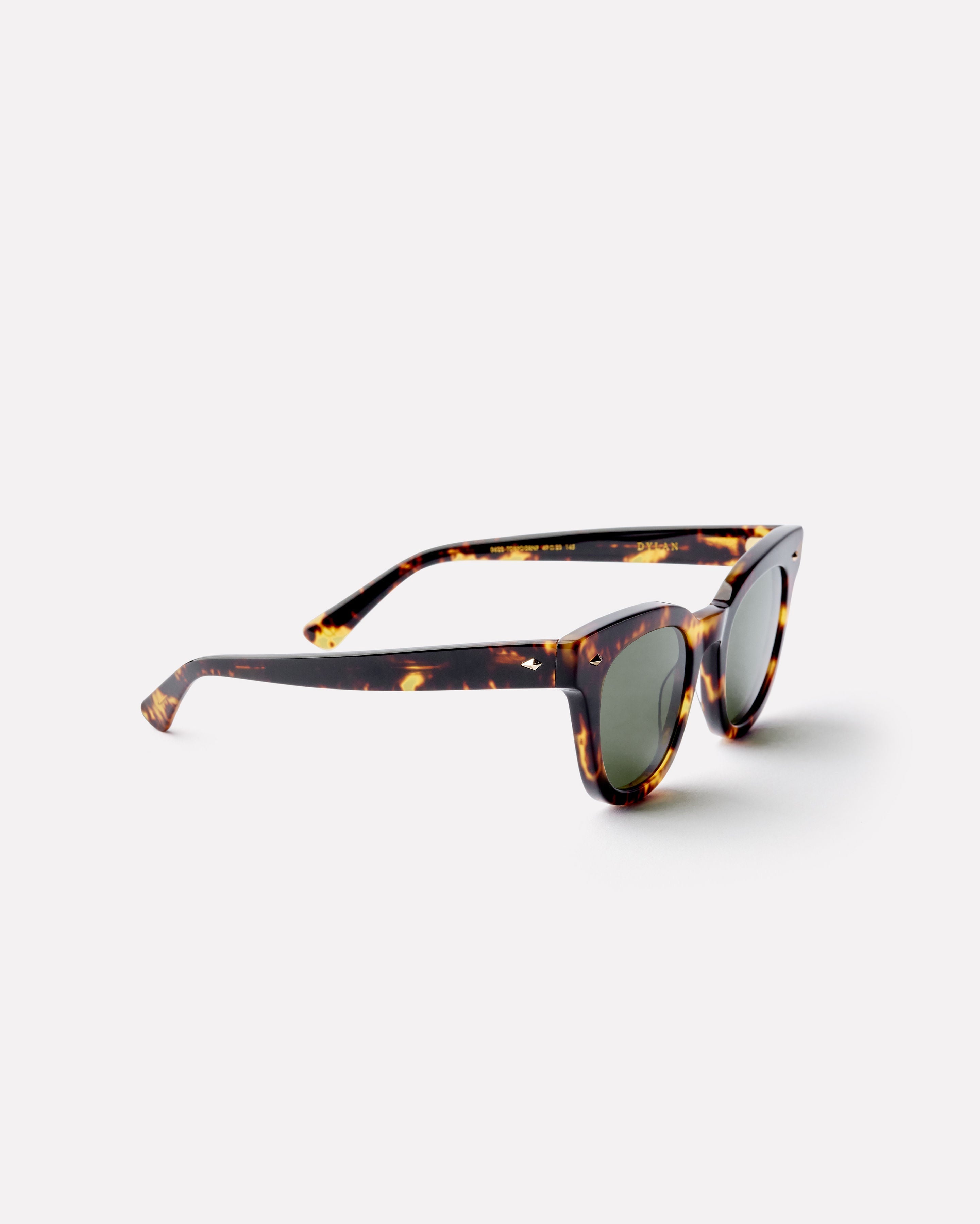 Epokhe Dylan - Tort Polished Green Polarised-polarised-9353311001923-0622-TORPOGRNP-Epokhe-Sunnieside