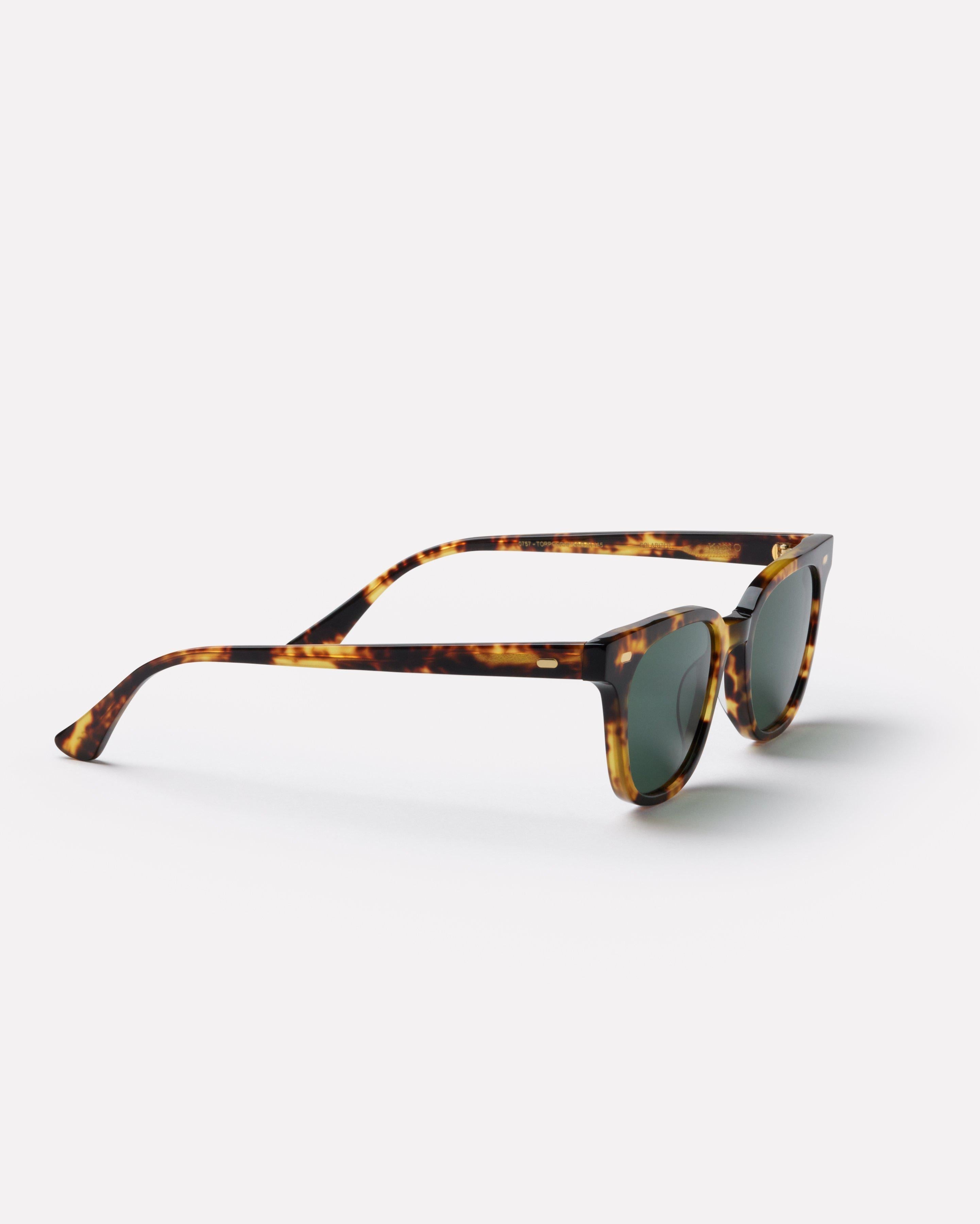 Epokhe Kino - Tortoise Polished Green Polarised-polarised-0757-TORPOGRNP-Epokhe-Sunnieside