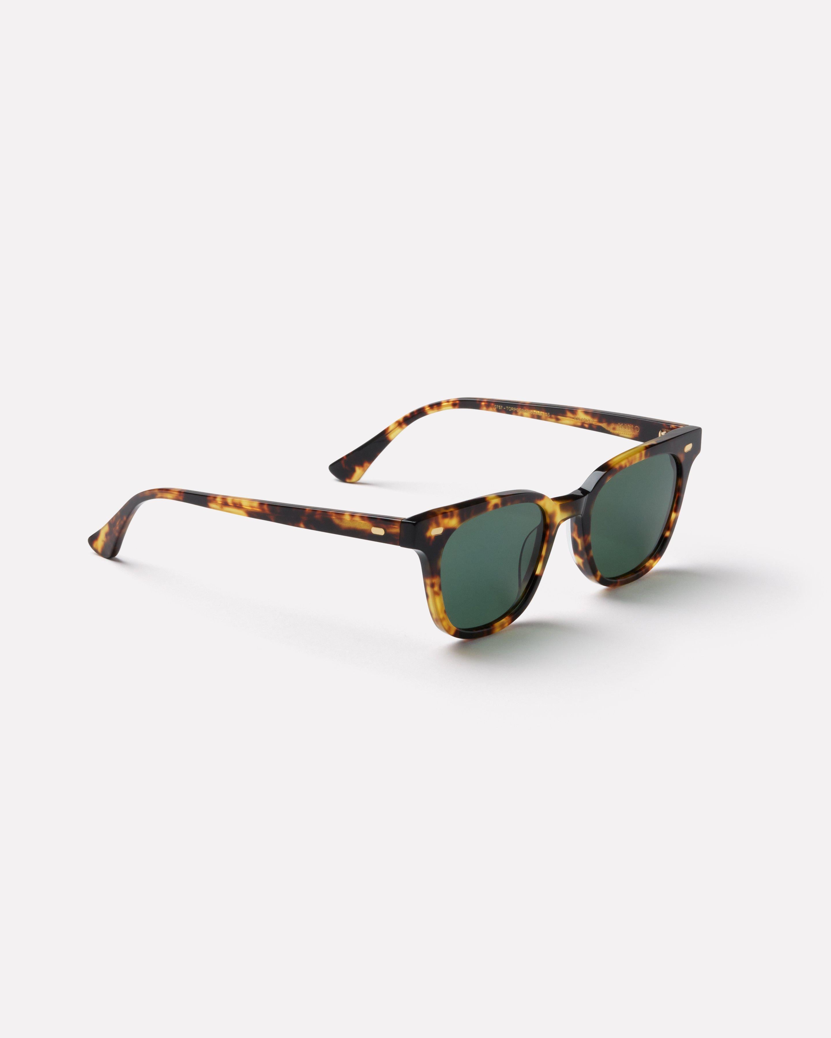 Epokhe Kino - Tortoise Polished Green Polarised-polarised-0757-TORPOGRNP-Epokhe-Sunnieside