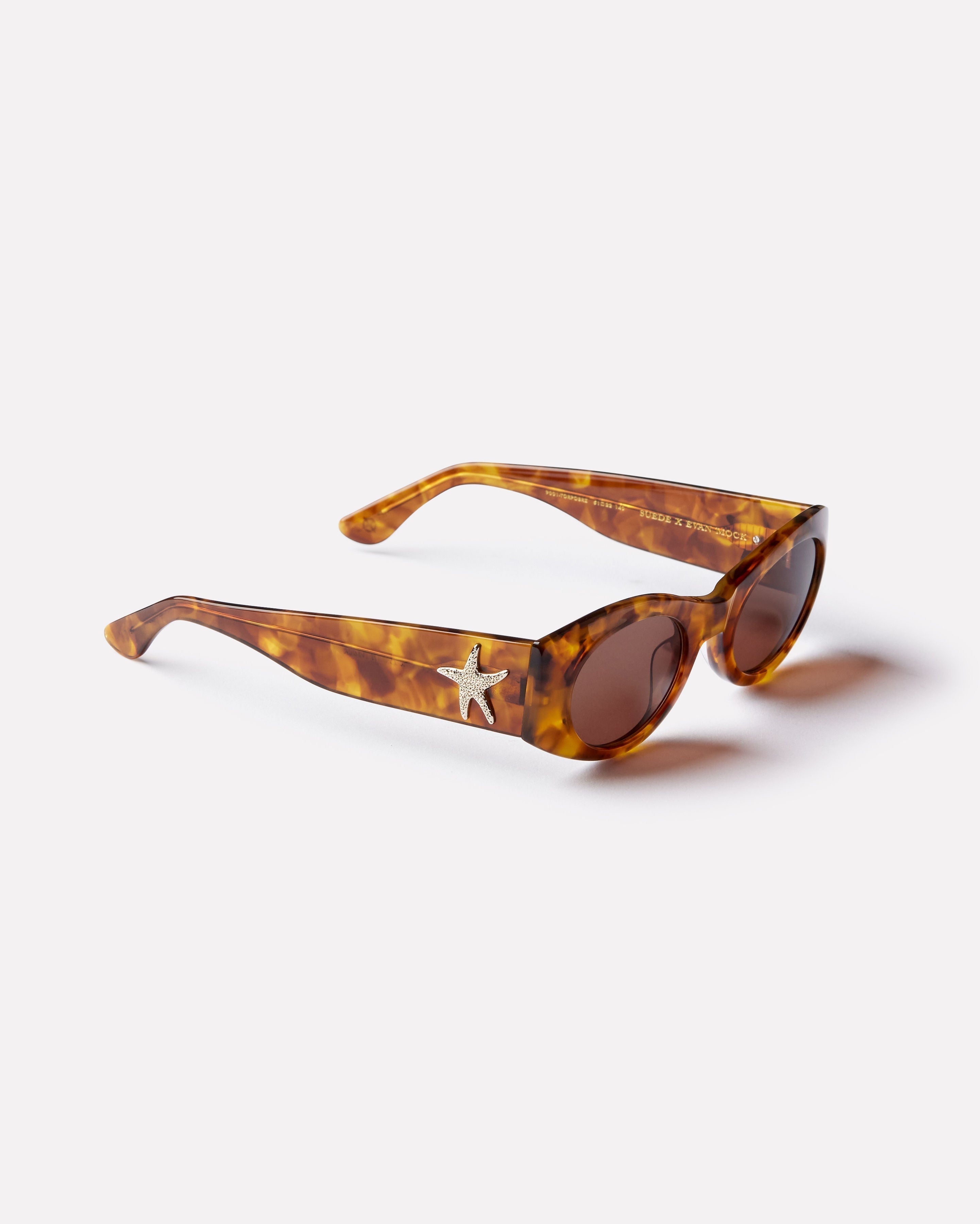 Epokhe Suede - Tortoise Polished / Bronze-UV400 non-polarised-9353311002012-9001-TORPOBRZ-Epokhe-Sunnieside