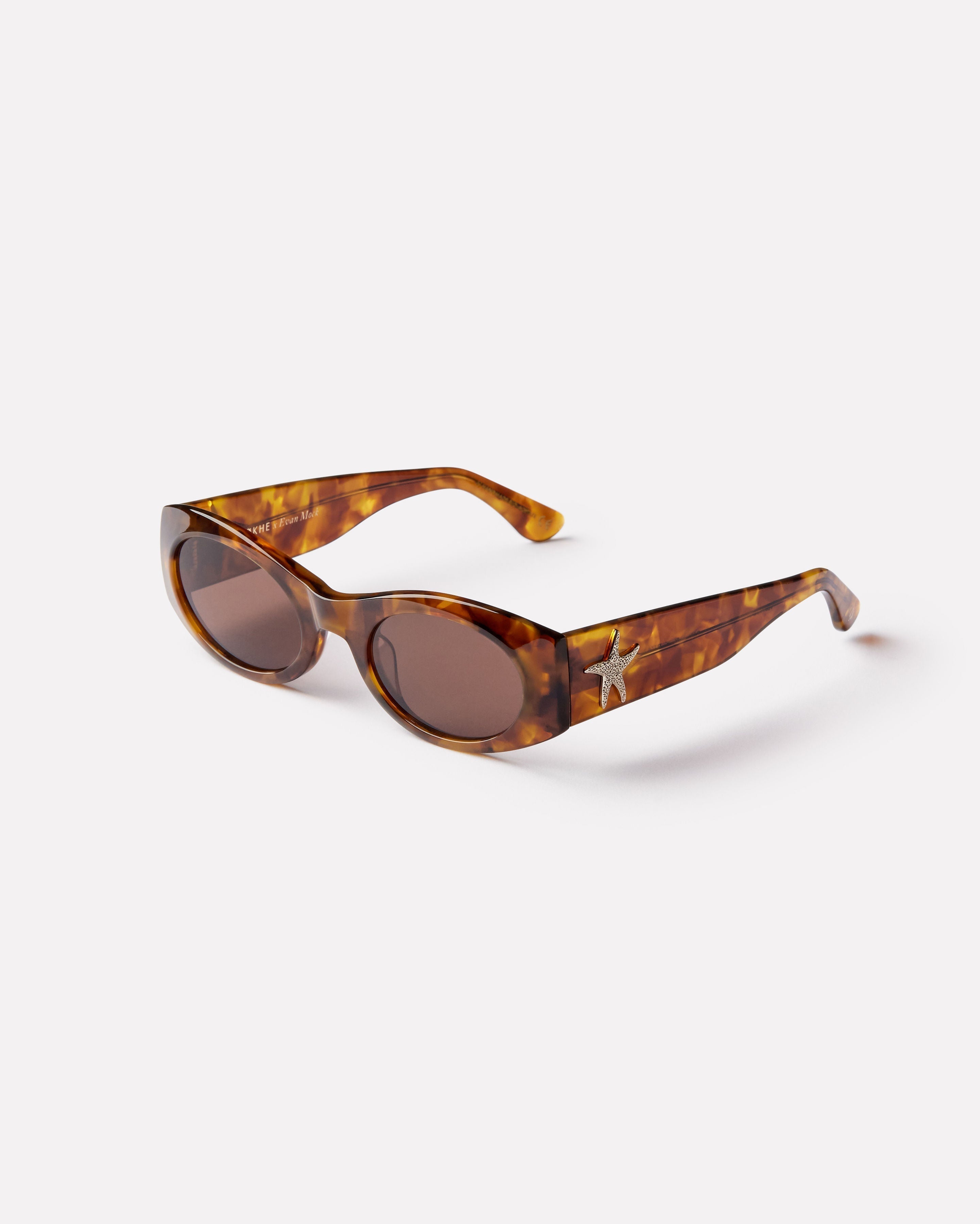 Epokhe Suede - Tortoise Polished / Bronze-UV400 non-polarised-9353311002012-9001-TORPOBRZ-Epokhe-Sunnieside