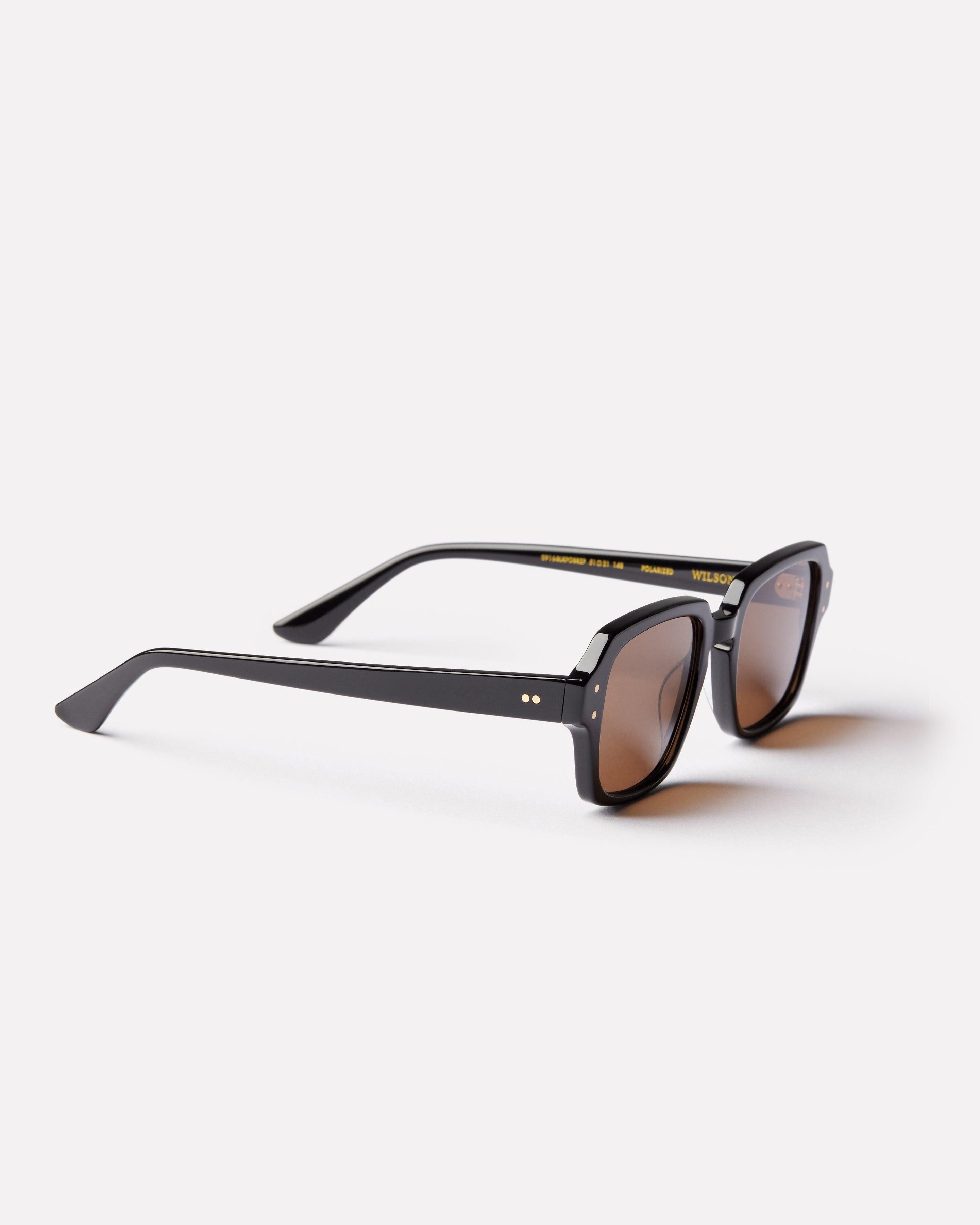 Epokhe Wilson - Black Polished / Bronze Polarized-polarised-9353311002111-0916-BLKPOBRZP-Epokhe-Sunnieside
