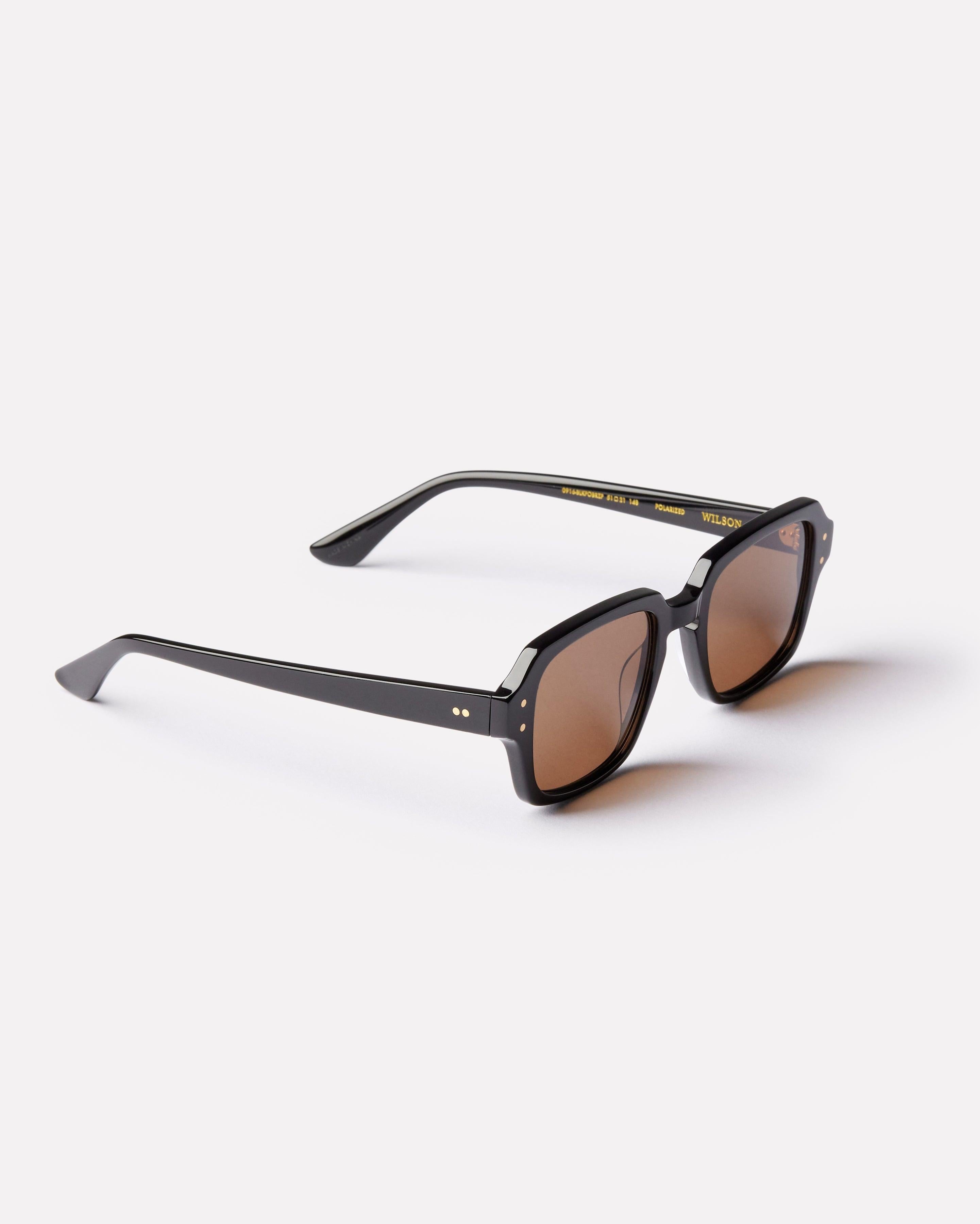 Epokhe Wilson - Black Polished / Bronze Polarized-polarised-9353311002111-0916-BLKPOBRZP-Epokhe-Sunnieside