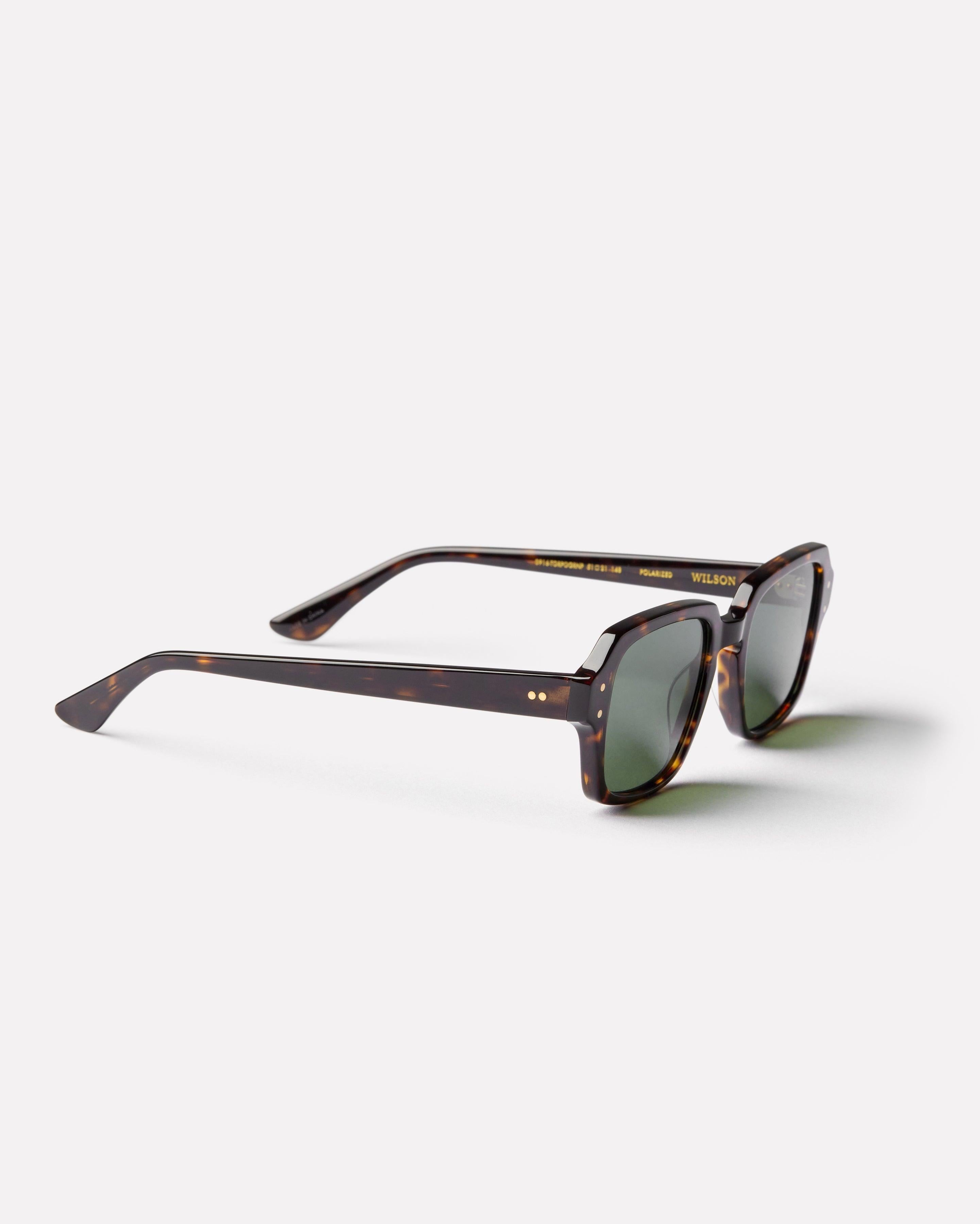 Epokhe Wilson - Tortoise Polished / Green Polarized-polarised-9353311002128-0916-TORPOGRNP-Epokhe-Sunnieside