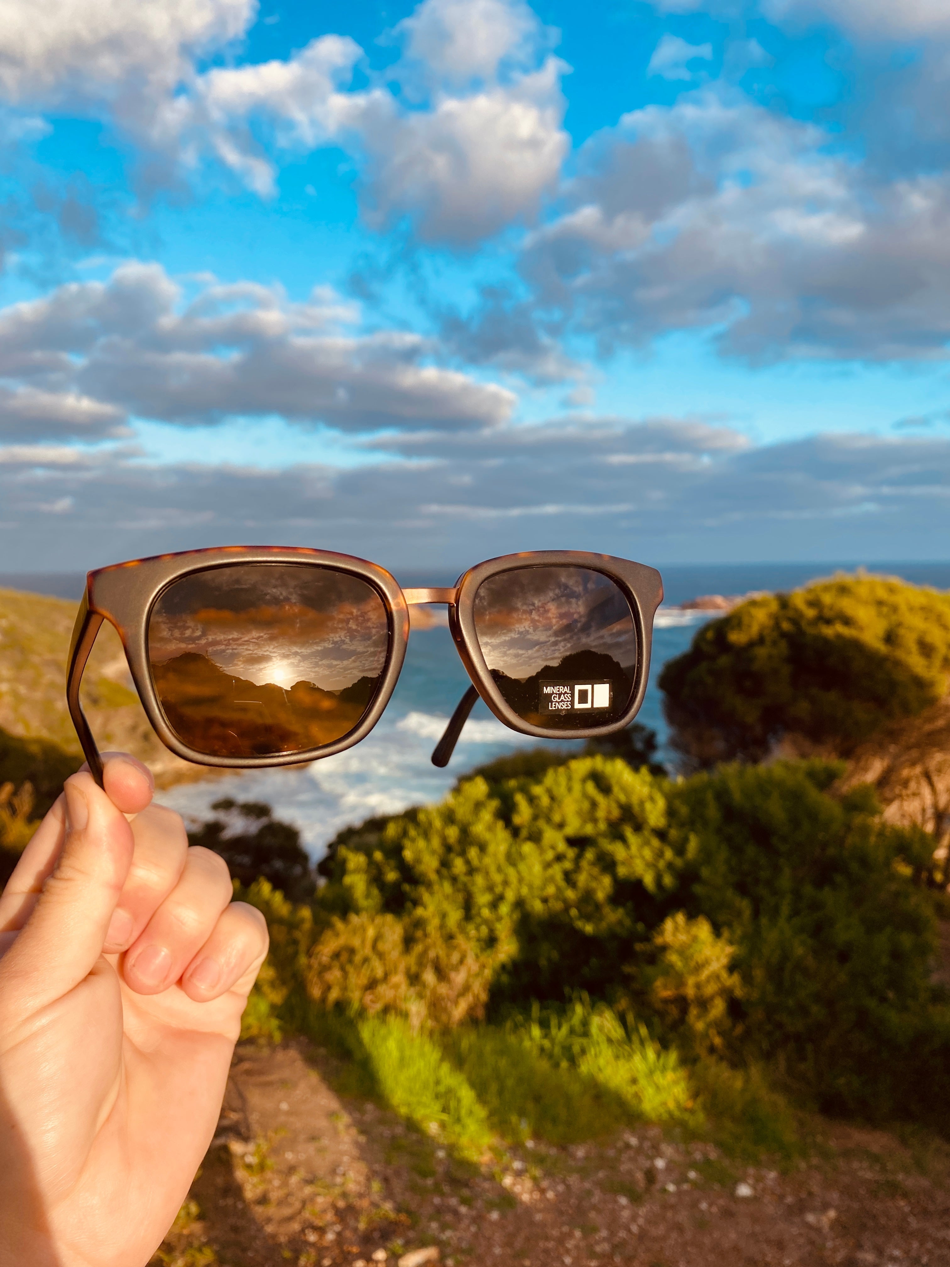 Otis Fiction Matte Dark Tort/Brown-UV400 non-polarised-9339740048227-161-2102-Otis Eyewear-Sunnieside