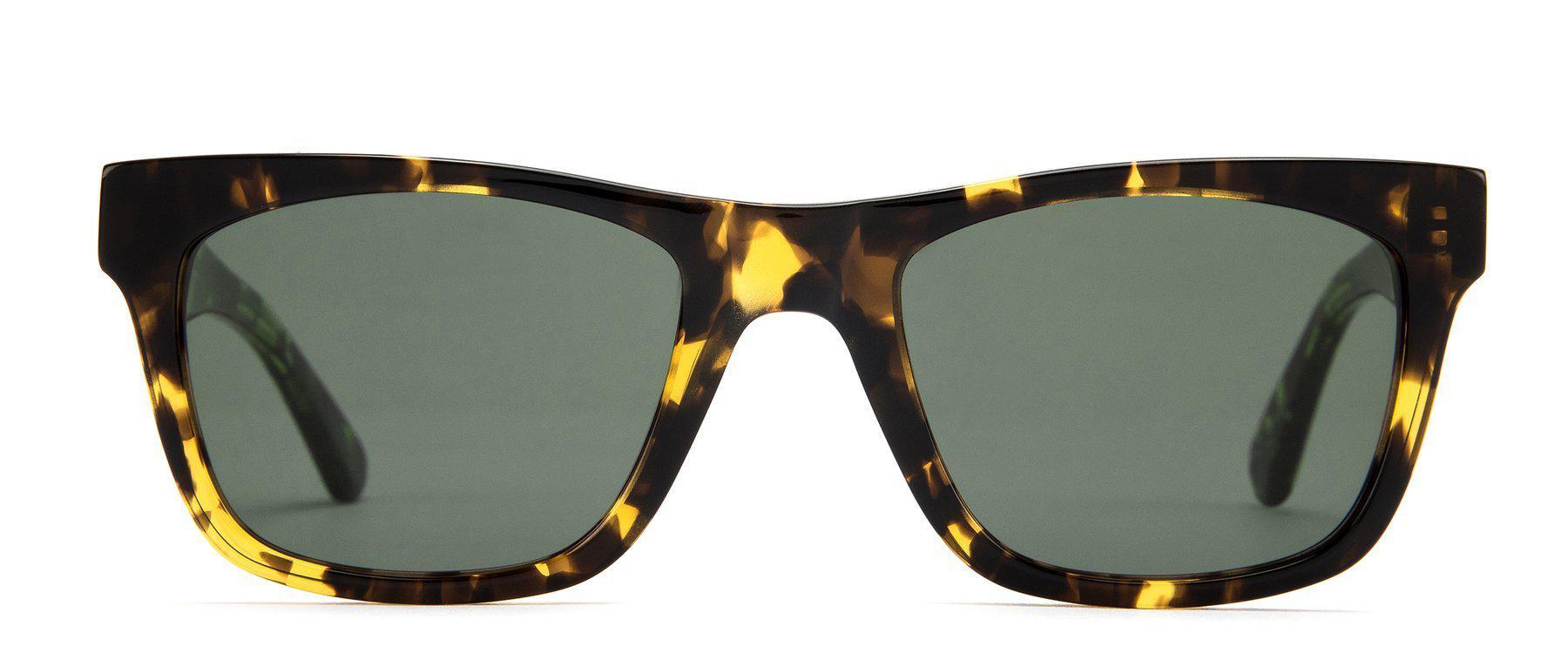 Otis Hawton Dark Tort/Grey Polarised-polarised-126-1901P-OTIS-Sunnieside