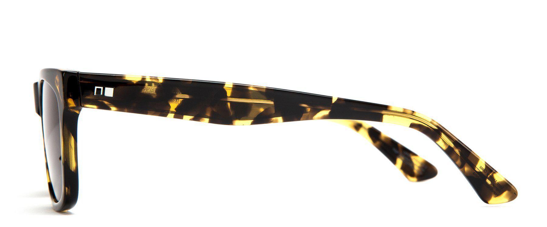 Otis Hawton Dark Tort/Grey Polarised-polarised-126-1901P-OTIS-Sunnieside
