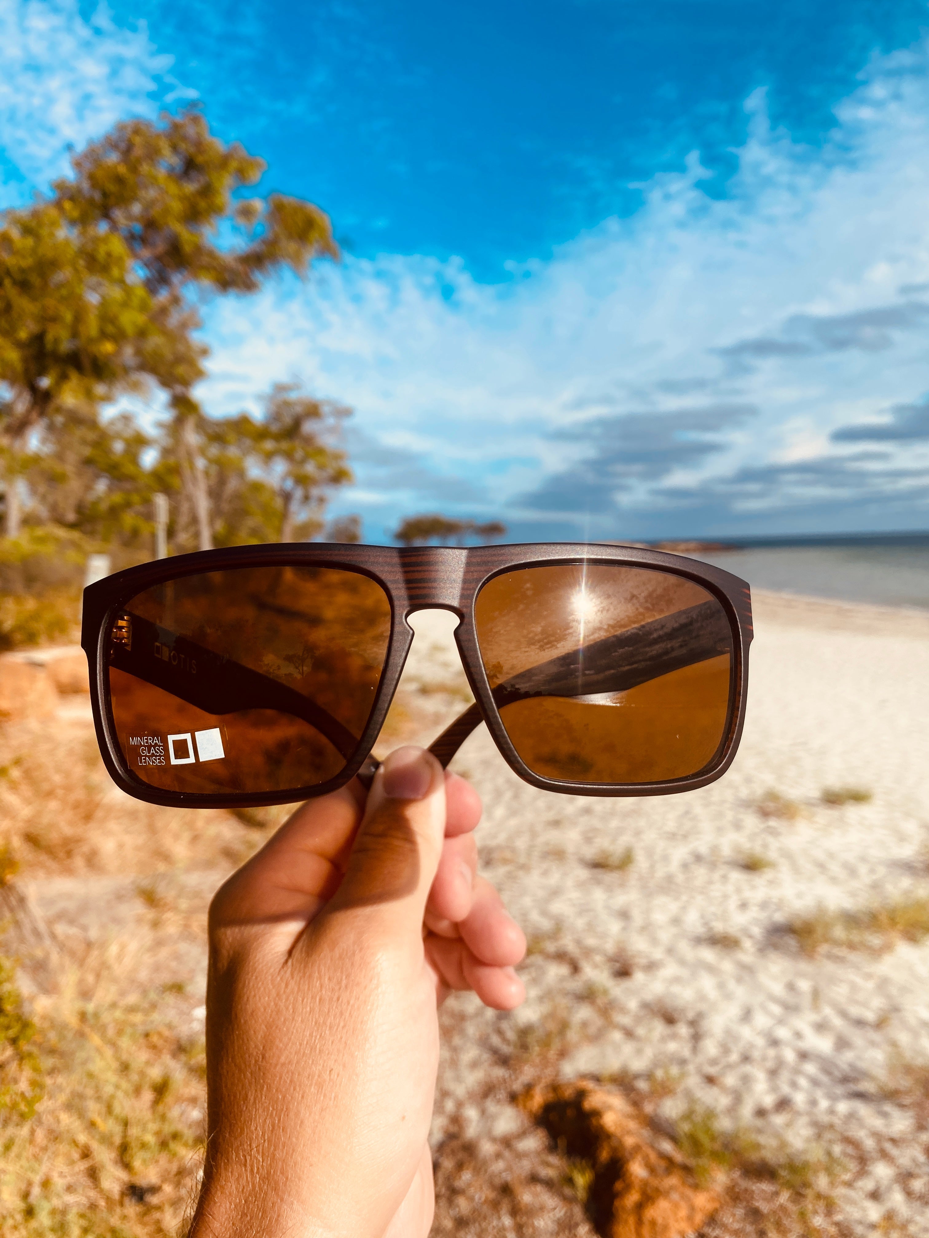 Otis Last Night Woodland Matte/Tropical Brown-UV400 non-polarised-9339740005121-81-1303-Otis Eyewear-Sunnieside