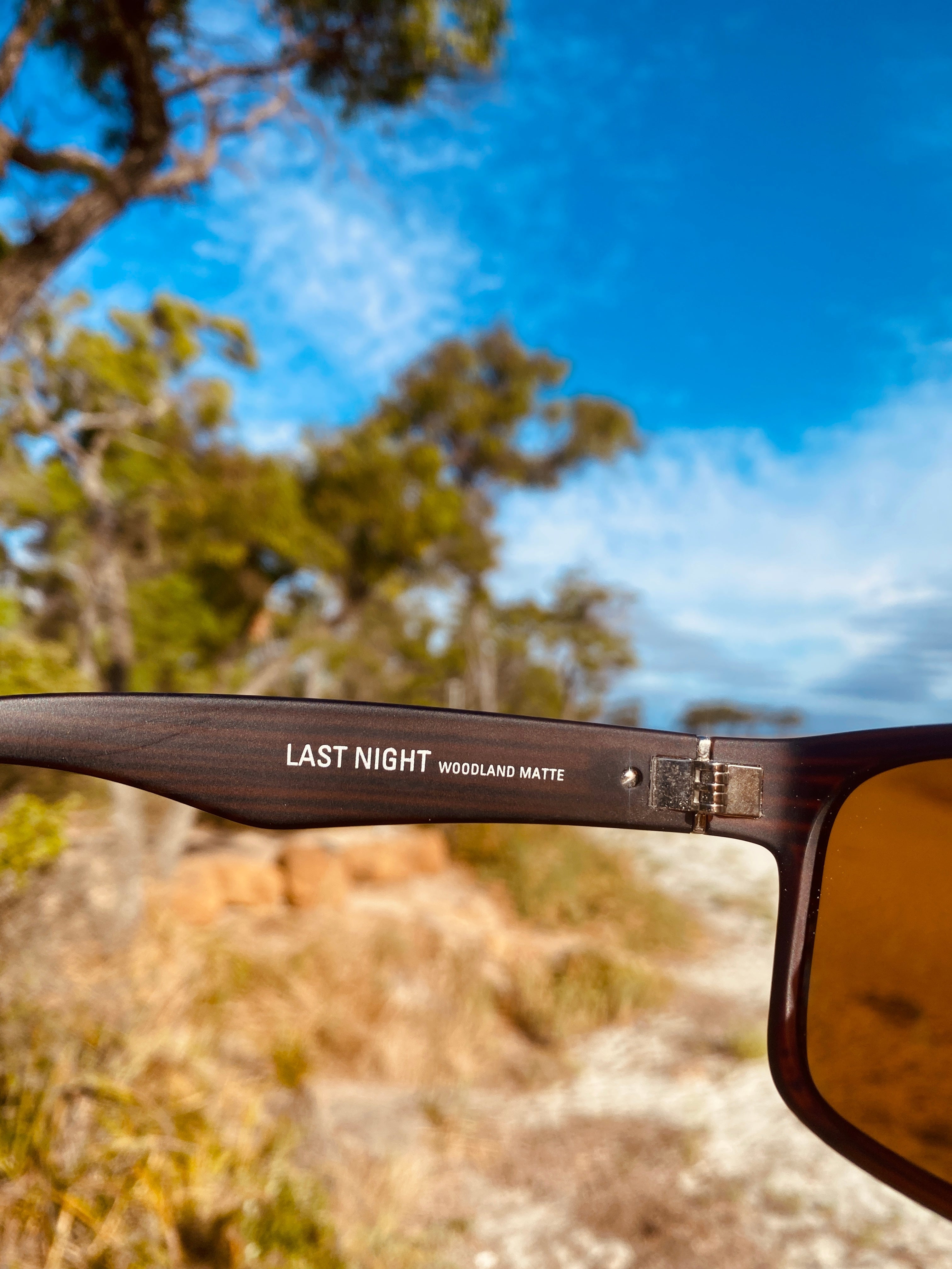 Otis Last Night Woodland Matte/Tropical Brown-UV400 non-polarised-9339740005121-81-1303-Otis Eyewear-Sunnieside