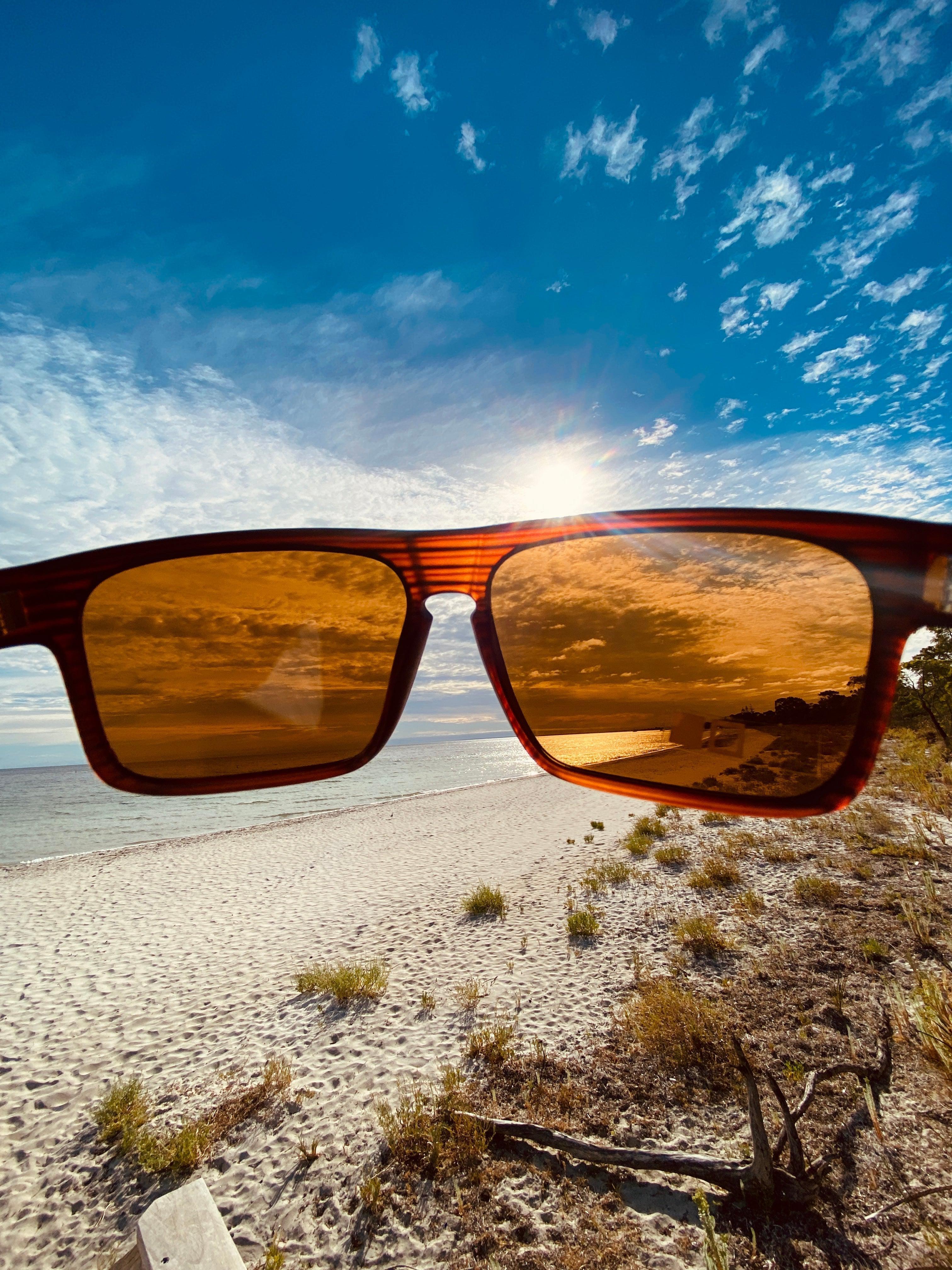 Otis Last Night Woodland Matte/Tropical Brown-UV400 non-polarised-9339740005121-81-1303-Otis Eyewear-Sunnieside