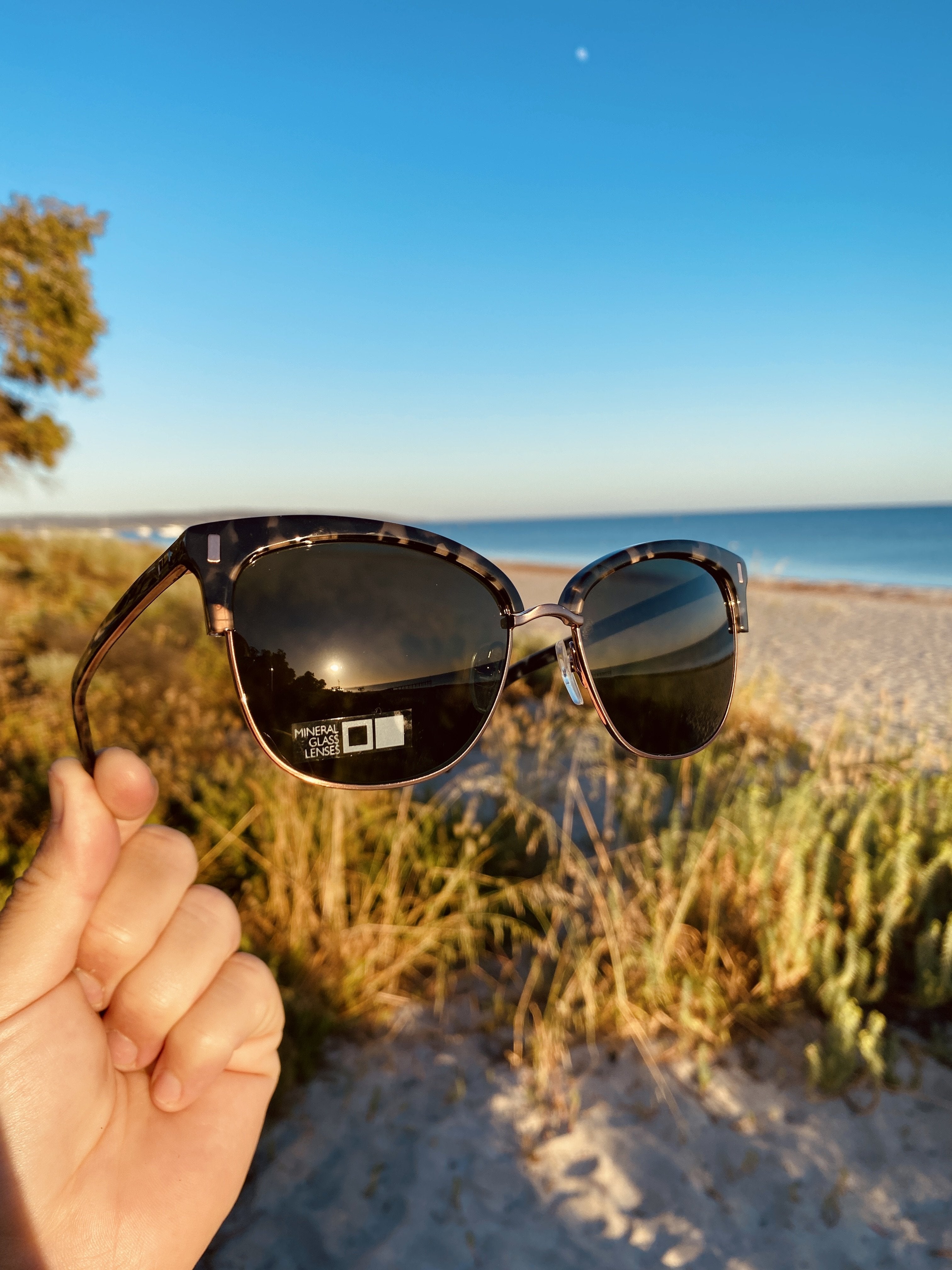 Otis Little Lies Black Tort/Grey-UV400 non-polarised-9339740036590-20-1806-Otis Eyewear-Sunnieside