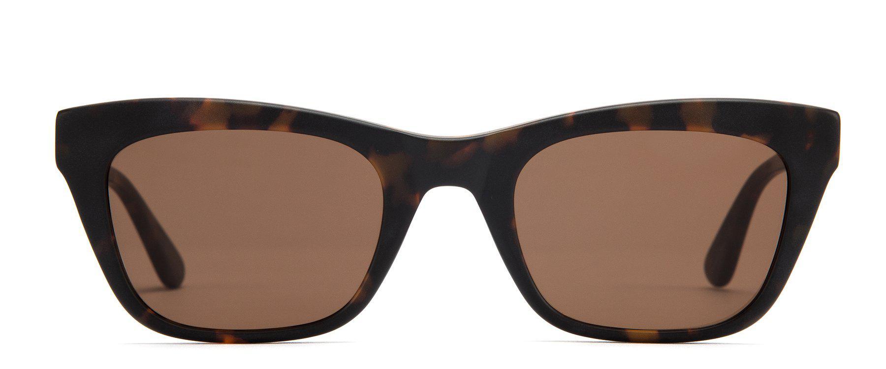 Otis Lyla Matte Havana Tort/Brown Polarised-polarised-123-1901P-OTIS-Sunnieside