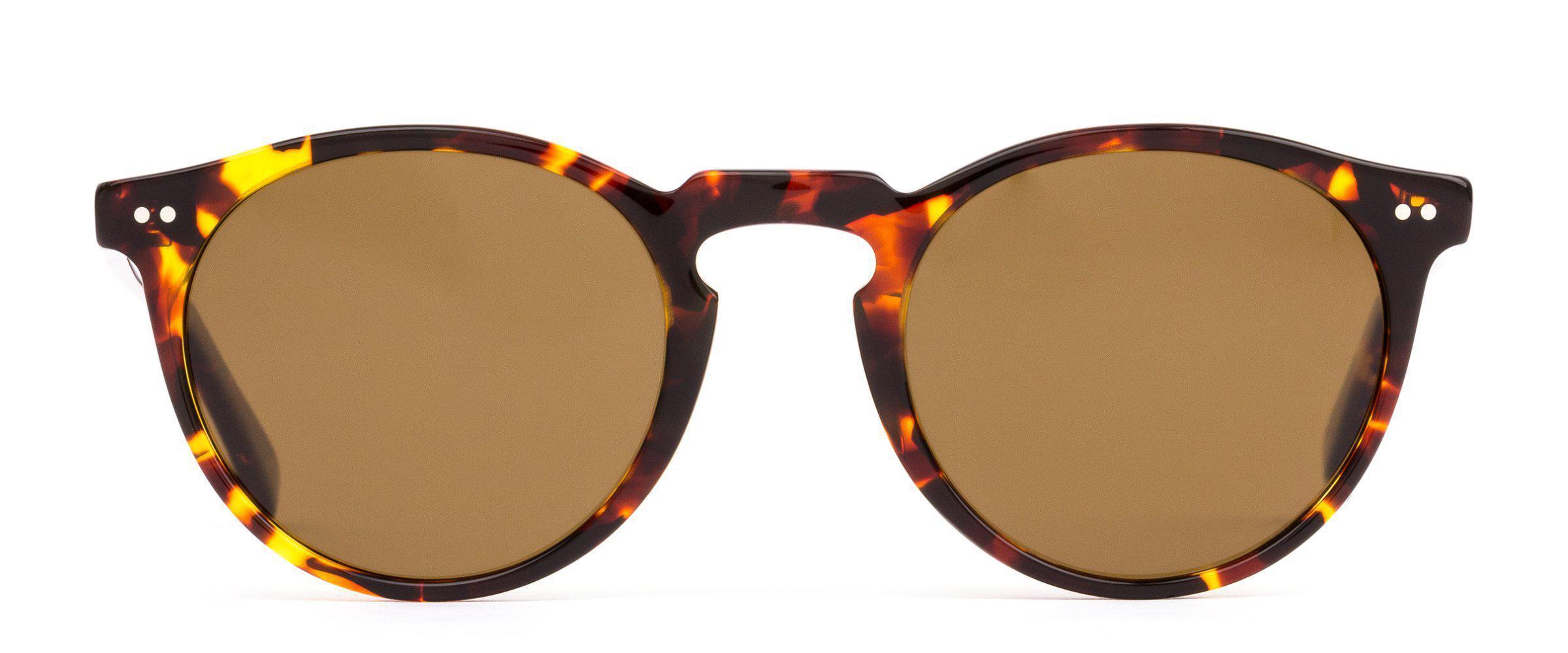 Otis Omar Eco Havana Sun/Brown Polarised-polarised-9339740048005-26-2104P-Otis Eyewear-Sunnieside