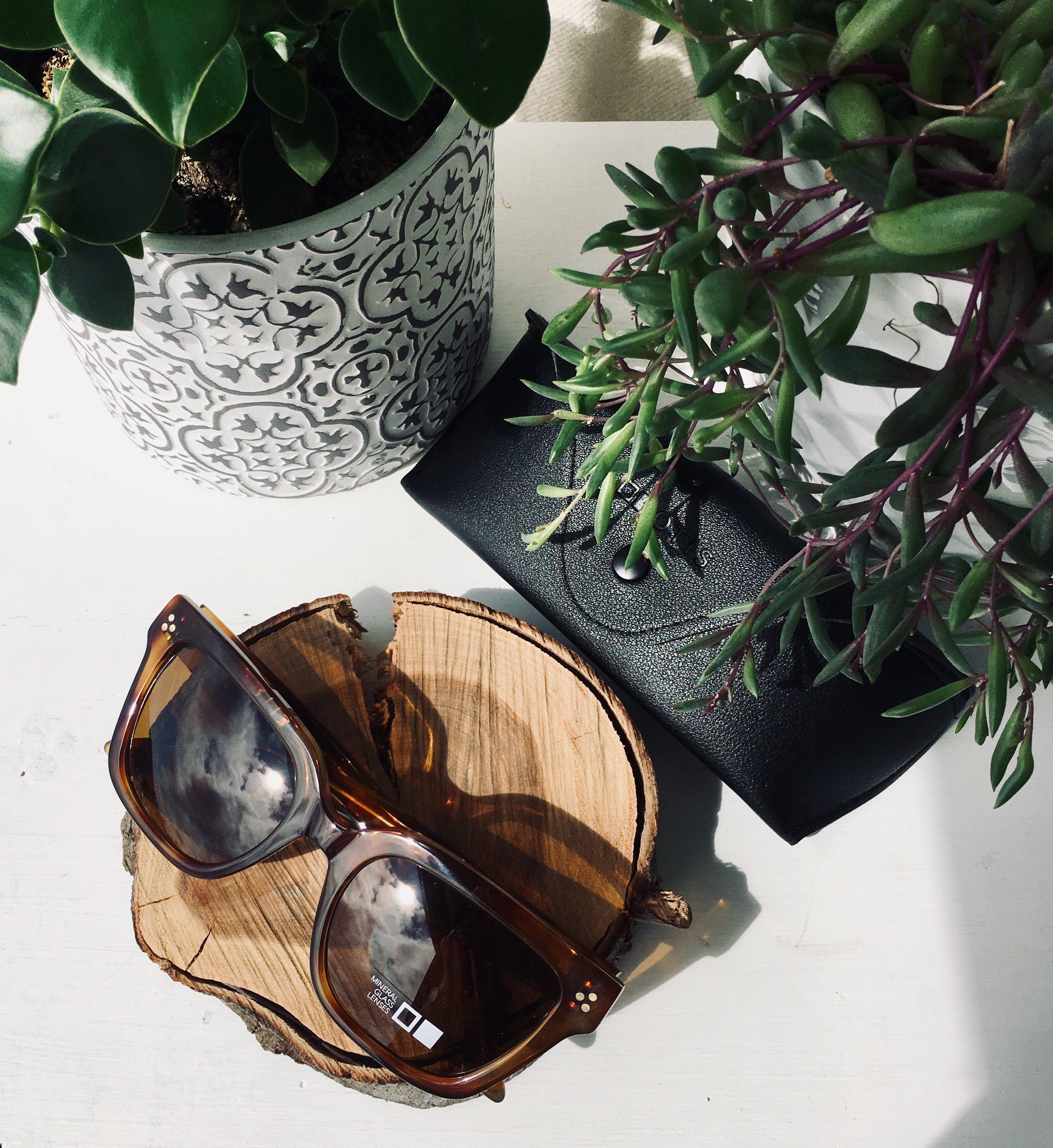 Otis Oska Trans Tortoise Haze/Brown-UV400 non-polarised-9339740043451-132-2005-Otis Eyewear-Sunnieside