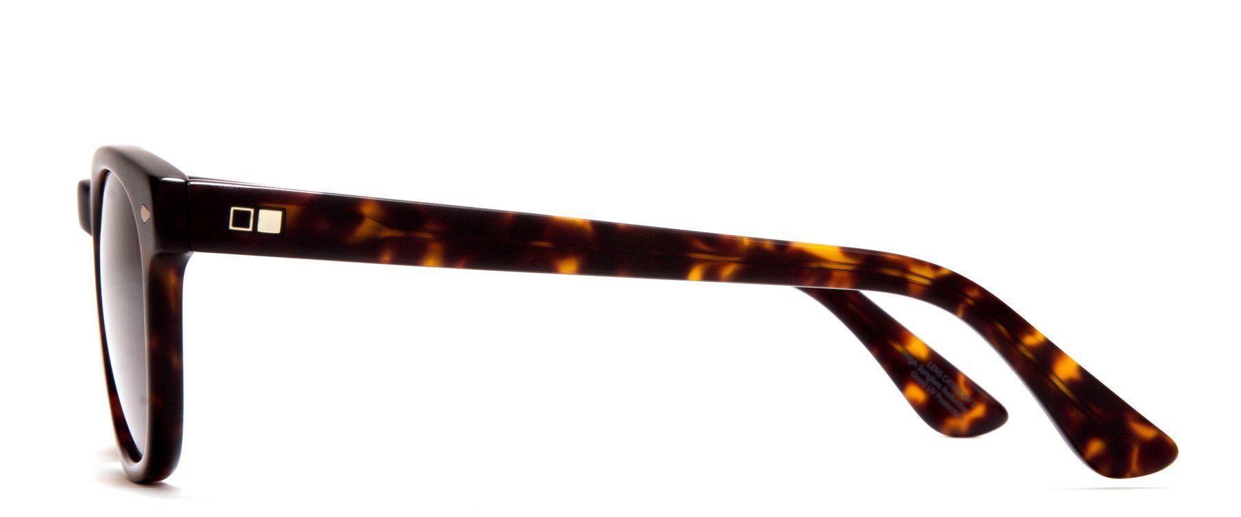 Otis Summer Of 67 Eco Havana/Brown Polarised-polarised-9339740043635-142-2006p-Otis Eyewear-Sunnieside