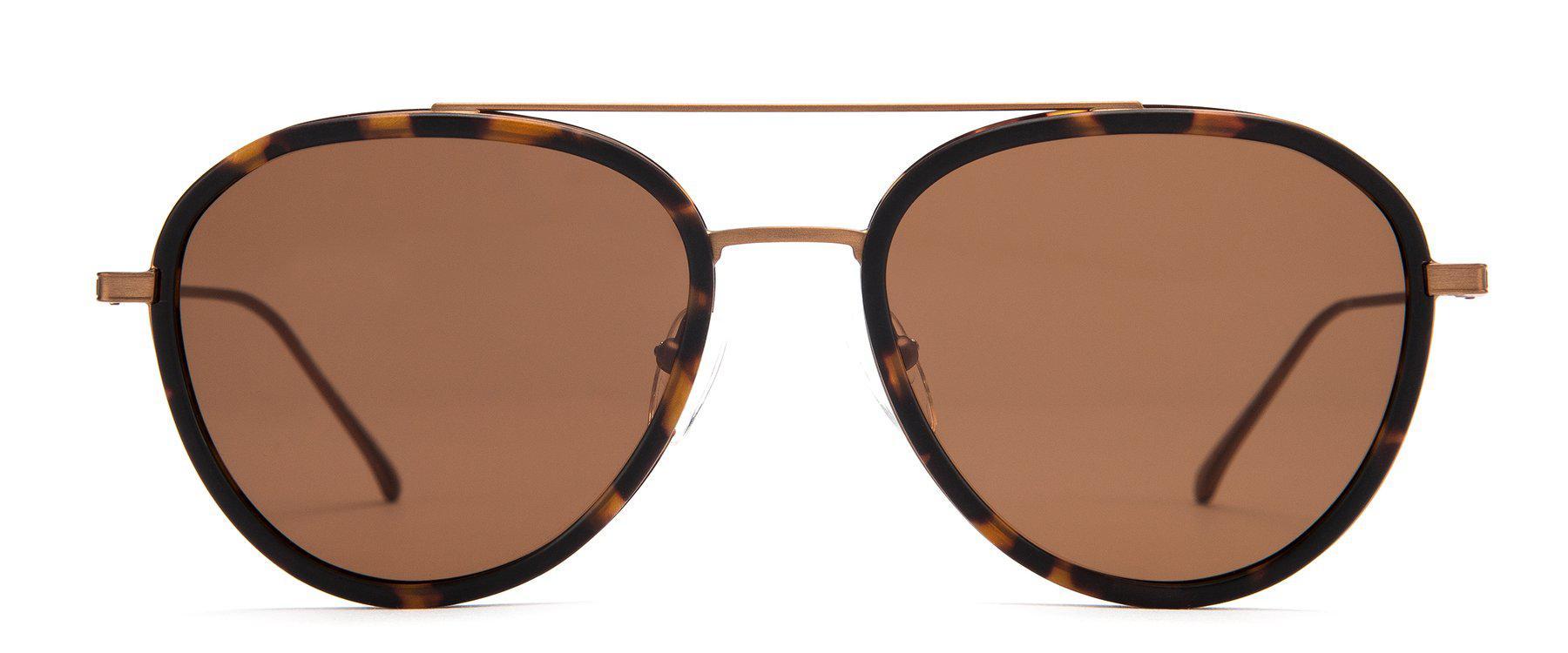 Otis Templin Matte Havana Tort Brushed Bronze/Brown-UV400 non-polarised-9339740042263-121-1904-OTIS-Sunnieside