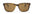 Otis Test Of Time Matte Amber Tort/Brown-UV400 non-polarised-92-1603-Otis Eyewear-Sunnieside