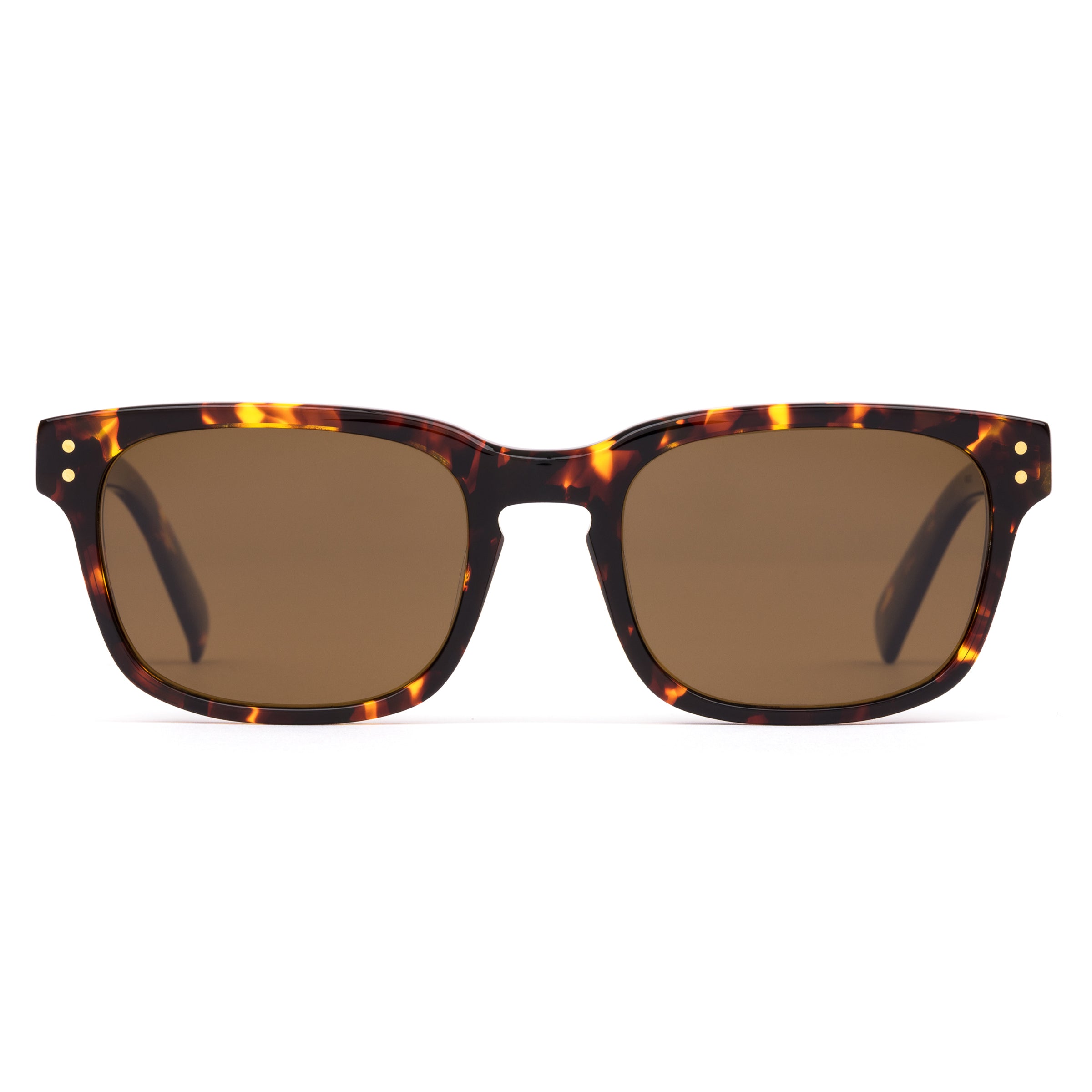 Otis Time Horizon : Eco Havana Sun/Brown Polarised-polarised-9339740054648-167-2205P-Otis Eyewear-Sunnieside