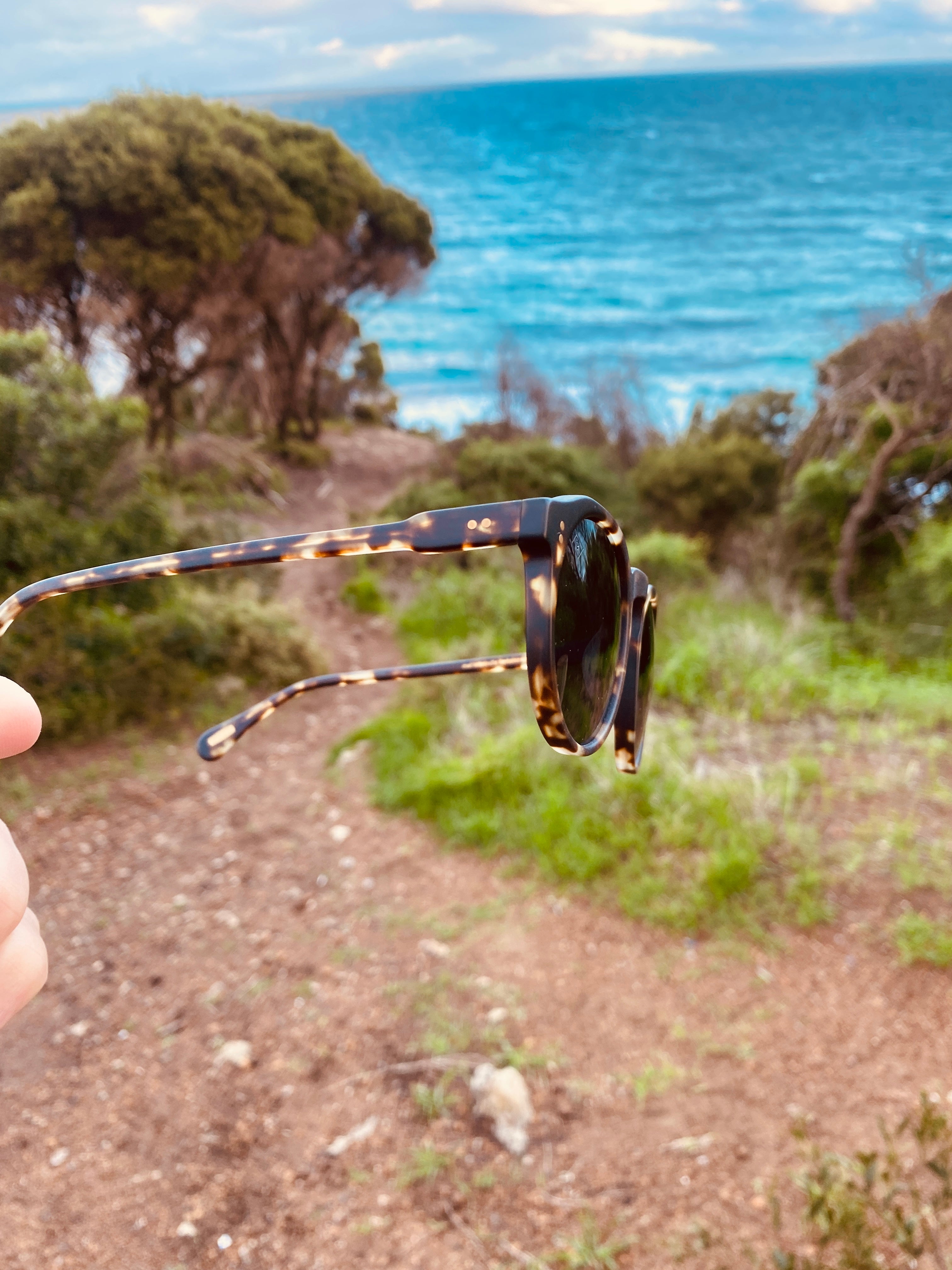 Raen Remmy 49 Matte Brindle Tortoise/Smoke Polarised-polarised-810225030030-100U161REM S317-Raen Optics-Sunnieside